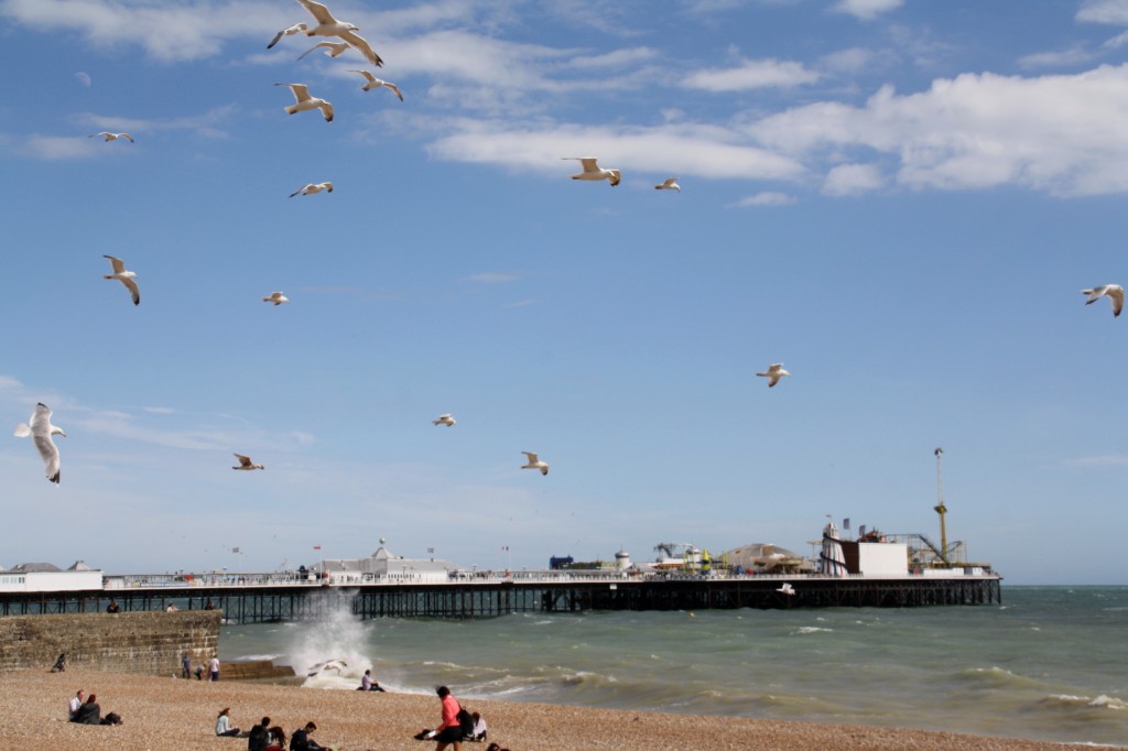 Brighton 2014