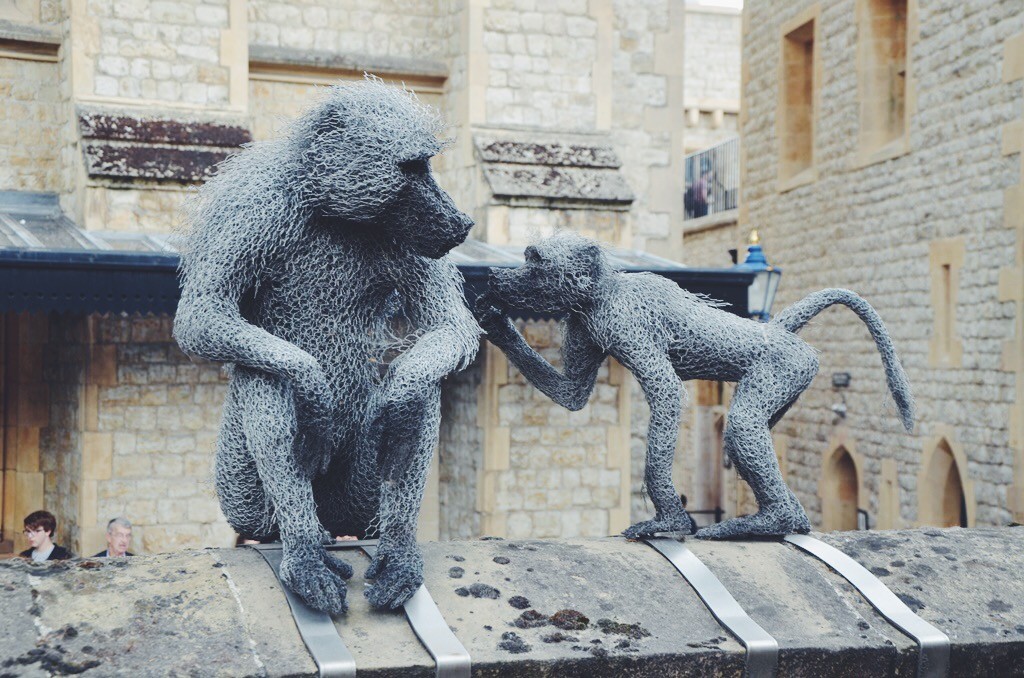 Review of Marco Polo guide book