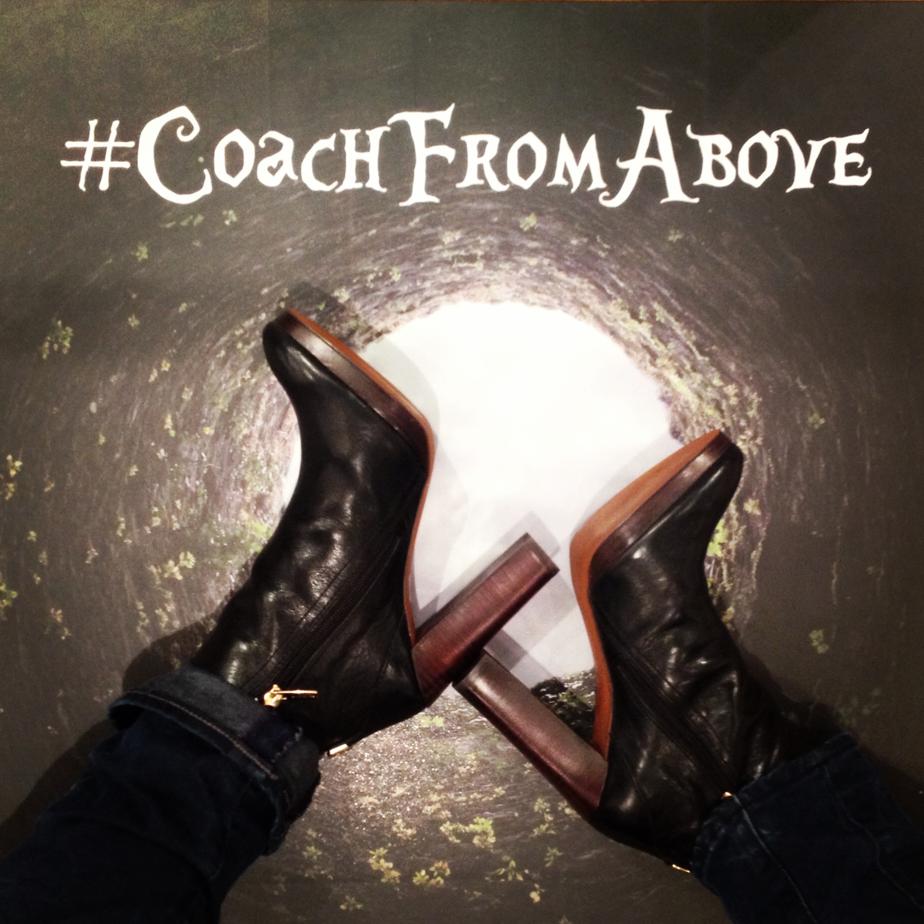 coach from above