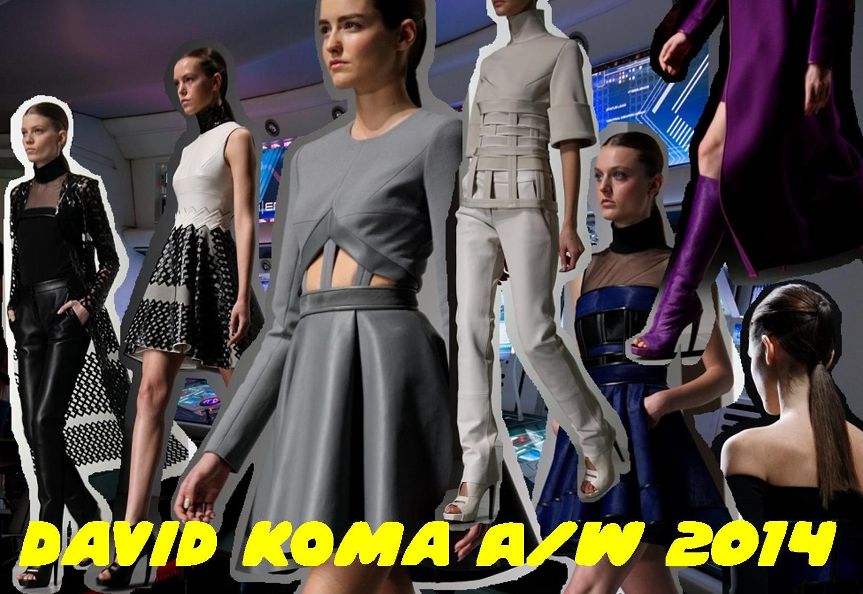 David Koma London Fashion Week A/W 14 Bunnipunch