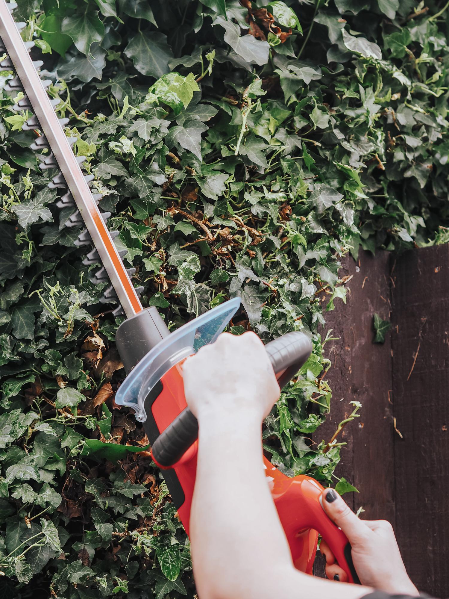 Flymo hedge trimmer review from blogger Bunnipunch